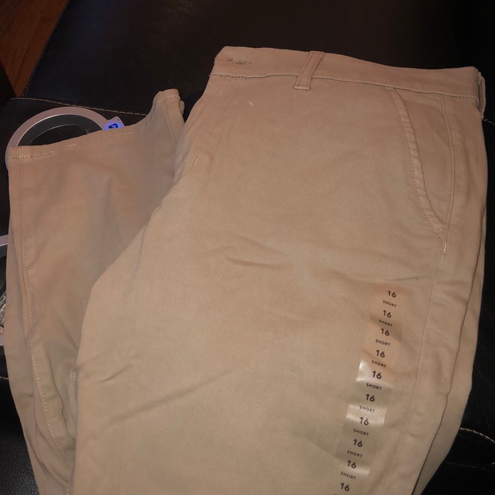 Size 16 AE pants